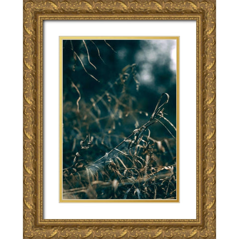 Secret 1 Gold Ornate Wood Framed Art Print with Double Matting by Design Fabrikken