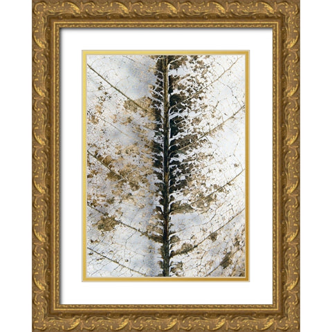 Close Up Gold Ornate Wood Framed Art Print with Double Matting by Design Fabrikken