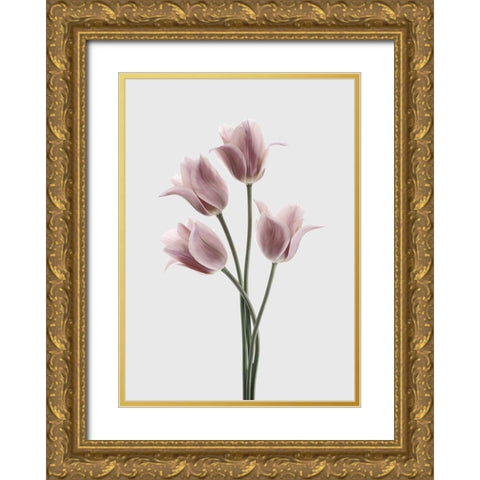 Tulips Pink Gold Ornate Wood Framed Art Print with Double Matting by Design Fabrikken