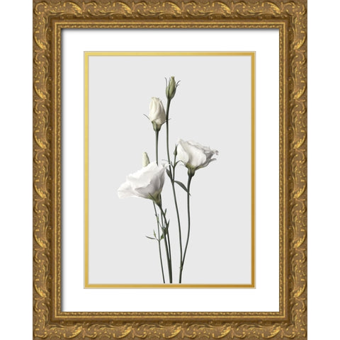 Lisianthus White Gold Ornate Wood Framed Art Print with Double Matting by Design Fabrikken