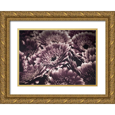 Opulent 4 Gold Ornate Wood Framed Art Print with Double Matting by Design Fabrikken