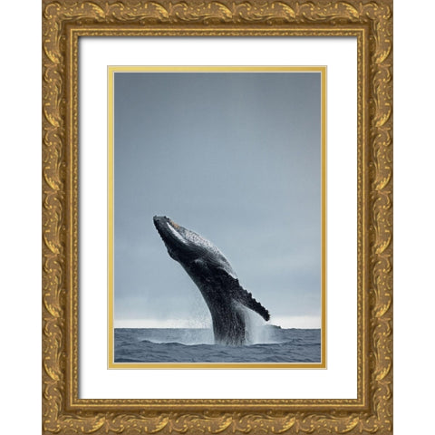 40 Ton Gold Ornate Wood Framed Art Print with Double Matting by Design Fabrikken