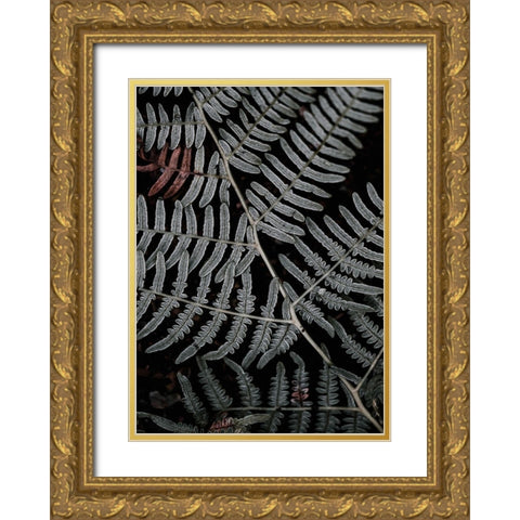 Secret 6 Gold Ornate Wood Framed Art Print with Double Matting by Design Fabrikken