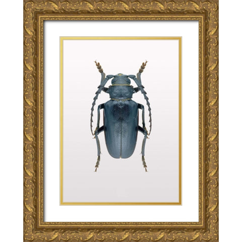 Beetle 3 Gold Ornate Wood Framed Art Print with Double Matting by Design Fabrikken