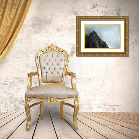 Bishop 5 Gold Ornate Wood Framed Art Print with Double Matting by Design Fabrikken
