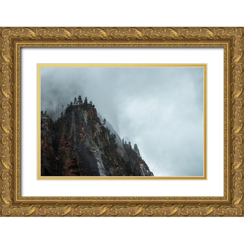 Bishop 5 Gold Ornate Wood Framed Art Print with Double Matting by Design Fabrikken