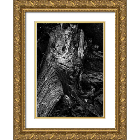 Black Wood Gold Ornate Wood Framed Art Print with Double Matting by Design Fabrikken