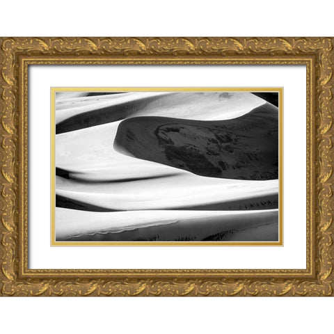Desert 1 Gold Ornate Wood Framed Art Print with Double Matting by Design Fabrikken