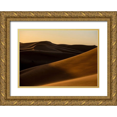 Desert 2 Gold Ornate Wood Framed Art Print with Double Matting by Design Fabrikken