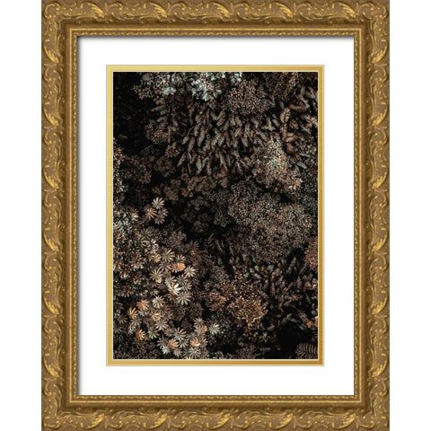 Secret 11 Gold Ornate Wood Framed Art Print with Double Matting by Design Fabrikken