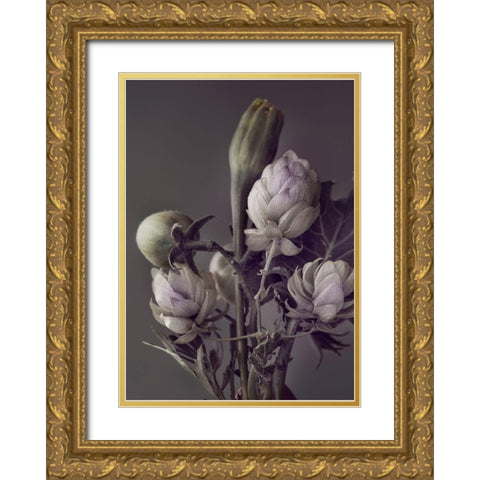 Secret 13 Gold Ornate Wood Framed Art Print with Double Matting by Design Fabrikken