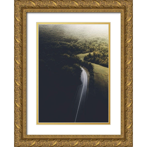 Road to Darkness Gold Ornate Wood Framed Art Print with Double Matting by Design Fabrikken
