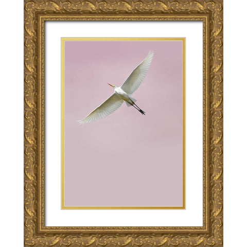 In the Sky 2 Gold Ornate Wood Framed Art Print with Double Matting by Design Fabrikken
