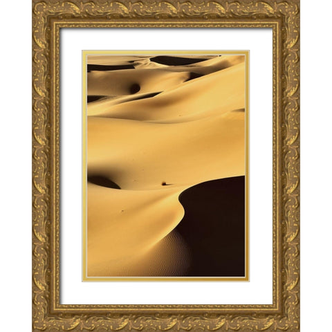 In the Dunes 1 Gold Ornate Wood Framed Art Print with Double Matting by Design Fabrikken