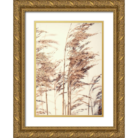 Reed 1 Gold Ornate Wood Framed Art Print with Double Matting by Design Fabrikken