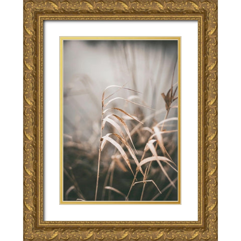 Reed 2 Gold Ornate Wood Framed Art Print with Double Matting by Design Fabrikken