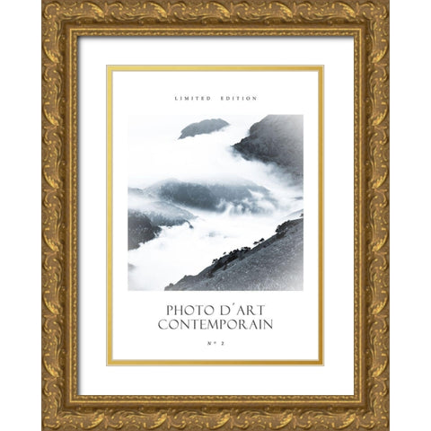 Photo DÂ´Art No 2 Gold Ornate Wood Framed Art Print with Double Matting by Design Fabrikken