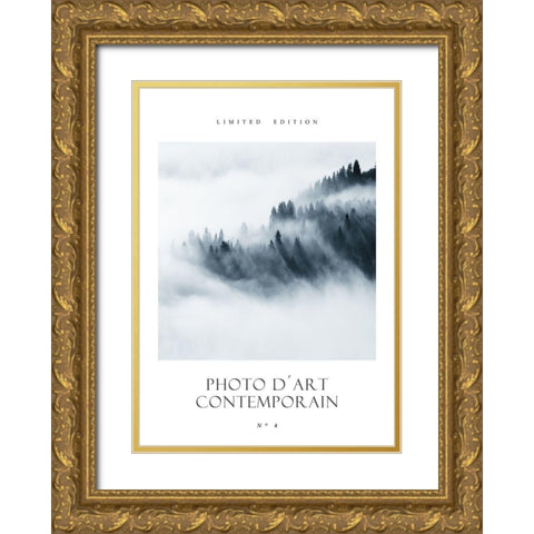 Photo DÂ´Art No 4 Gold Ornate Wood Framed Art Print with Double Matting by Design Fabrikken