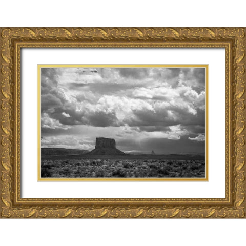 Monument Valley Gold Ornate Wood Framed Art Print with Double Matting by Oldford, Tim