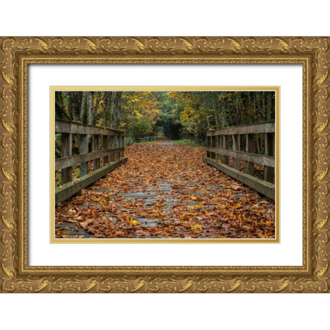 Fall on the Goose (Victoria) Gold Ornate Wood Framed Art Print with Double Matting by Oldford, Tim