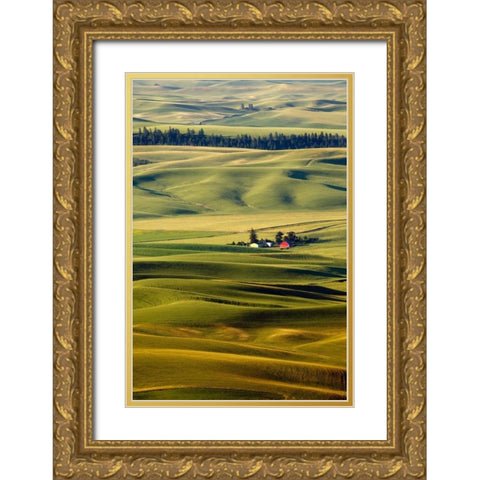 Palouse #27 Gold Ornate Wood Framed Art Print with Double Matting by ODell, Dale
