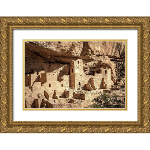 Mesa Verde Gold Ornate Wood Framed Art Print with Double Matting by Oldford, Tim