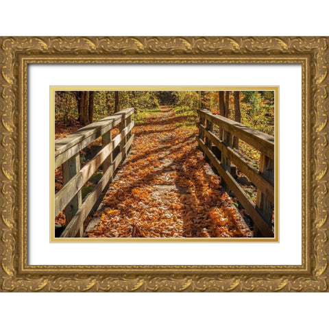 Fall On The Footbridge Gold Ornate Wood Framed Art Print with Double Matting by Oldford, Tim