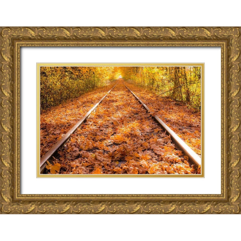 Train Tracks in The Fall Gold Ornate Wood Framed Art Print with Double Matting by Oldford, Tim
