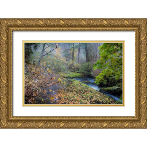 Snow in Fall Gold Ornate Wood Framed Art Print with Double Matting by Oldford, Tim