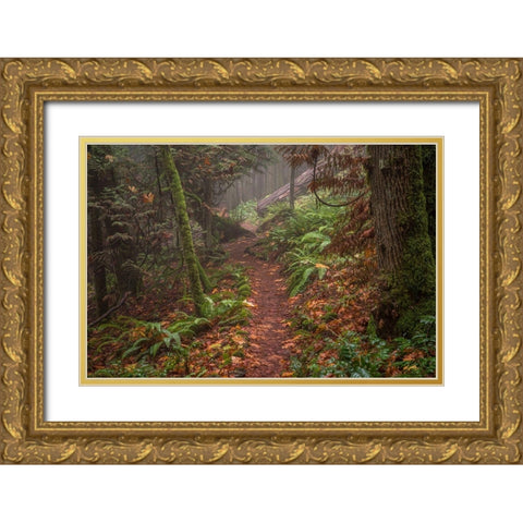 Forest Stroll Gold Ornate Wood Framed Art Print with Double Matting by Oldford, Tim