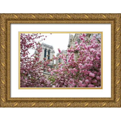 Notre Dame 1 Gold Ornate Wood Framed Art Print with Double Matting by Okula, Carina