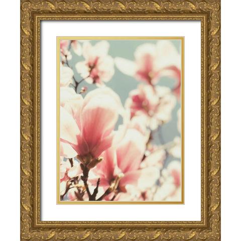 Paris Petals 1 Gold Ornate Wood Framed Art Print with Double Matting by Okula, Carina
