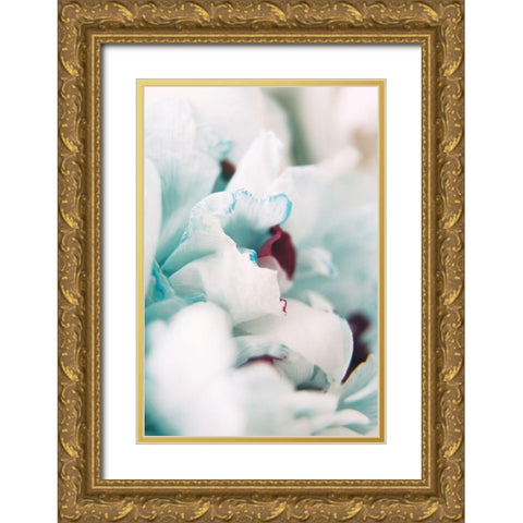 Paris Petals 2 Gold Ornate Wood Framed Art Print with Double Matting by Okula, Carina