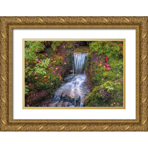 Tranquility Falls Gold Ornate Wood Framed Art Print with Double Matting by Oldford, Tim