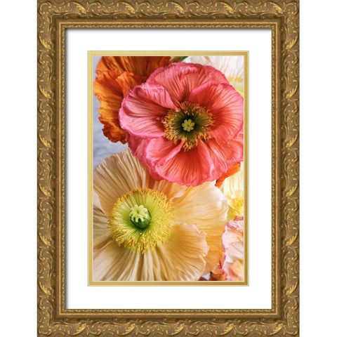 Spring Poppies Gold Ornate Wood Framed Art Print with Double Matting by Okula, Carina