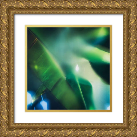 Evergreen No. 1 Gold Ornate Wood Framed Art Print with Double Matting by Pfrommer, Sven