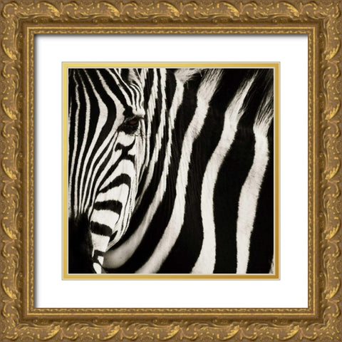 Camouflage I Gold Ornate Wood Framed Art Print with Double Matting by Parker, Susann