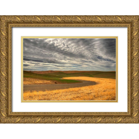 Yin Yang Gold Ornate Wood Framed Art Print with Double Matting by Patch, Dan