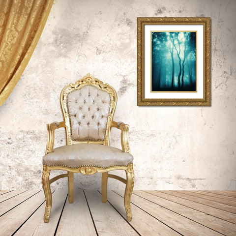 Blue Light Woods Gold Ornate Wood Framed Art Print with Double Matting by PhotoINC Studio