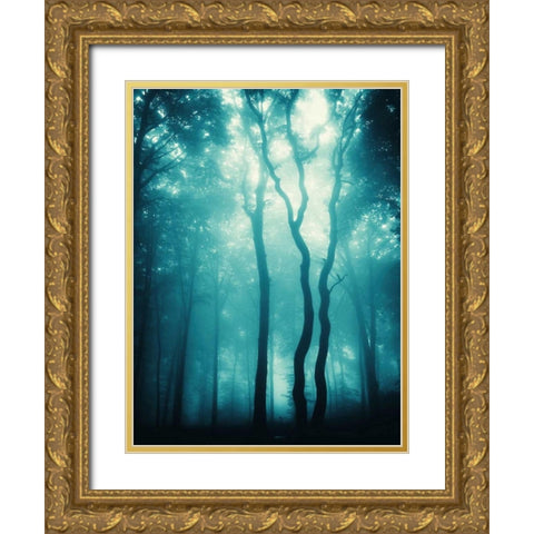 Blue Light Woods Gold Ornate Wood Framed Art Print with Double Matting by PhotoINC Studio