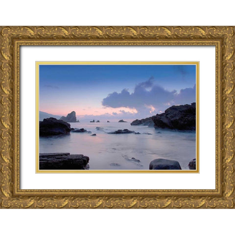Cliffs Gold Ornate Wood Framed Art Print with Double Matting by PhotoINC Studio