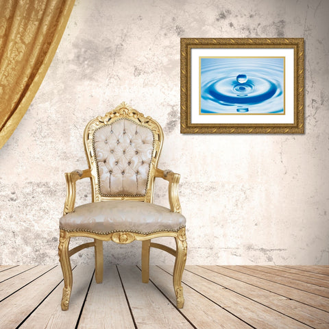 Droplet Gold Ornate Wood Framed Art Print with Double Matting by PhotoINC Studio