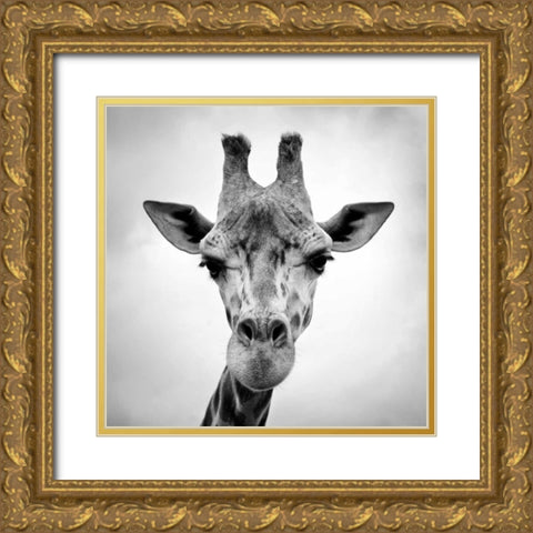 Giraffe Gold Ornate Wood Framed Art Print with Double Matting by PhotoINC Studio