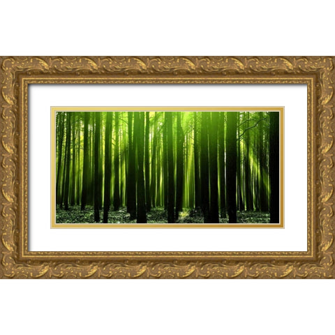 Green Woods 3 Gold Ornate Wood Framed Art Print with Double Matting by PhotoINC Studio