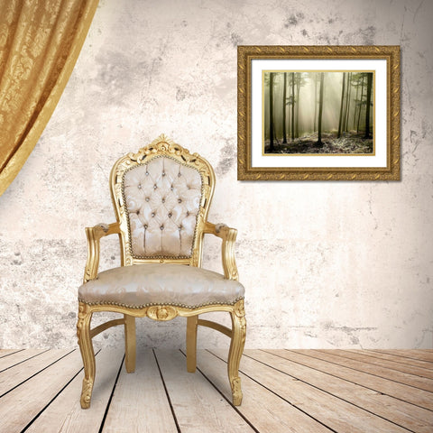Green Works Gold Ornate Wood Framed Art Print with Double Matting by PhotoINC Studio