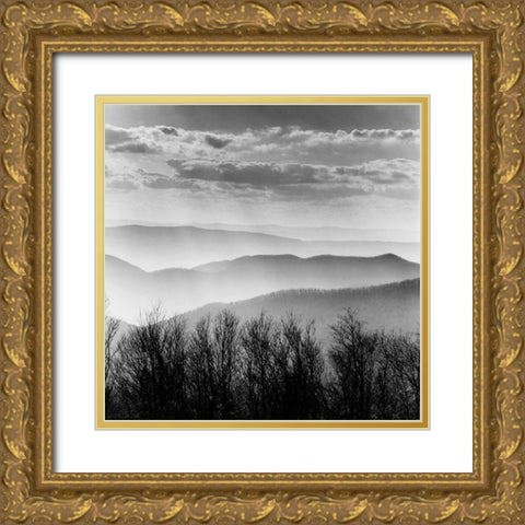 Misty Mountains Gold Ornate Wood Framed Art Print with Double Matting by PhotoINC Studio