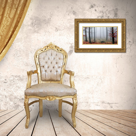 Misty Woods Gold Ornate Wood Framed Art Print with Double Matting by PhotoINC Studio