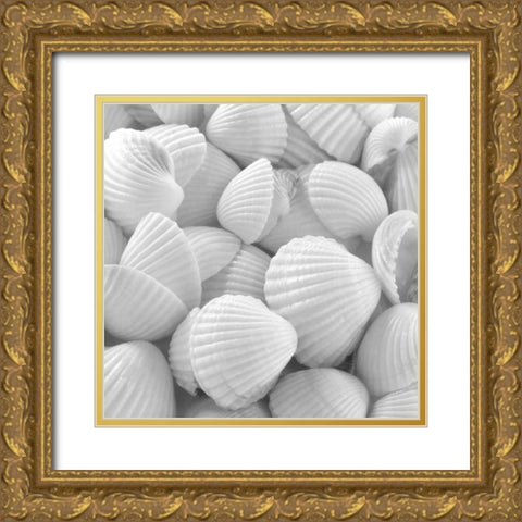 Shells 3 Gold Ornate Wood Framed Art Print with Double Matting by PhotoINC Studio