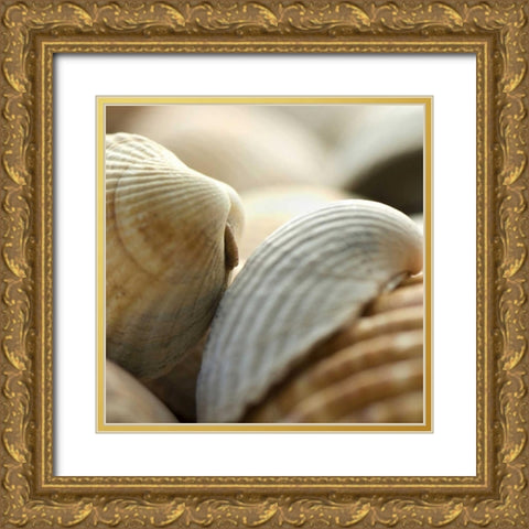 Shells 4 Gold Ornate Wood Framed Art Print with Double Matting by PhotoINC Studio