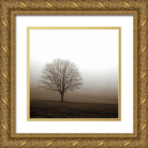 Tree in Mist 1 Gold Ornate Wood Framed Art Print with Double Matting by PhotoINC Studio